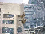 Stones-Toronto-023-20050924-ViewfromHotel-SkyDome.jpg