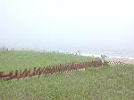 Fog-08-oob-20010822.jpg